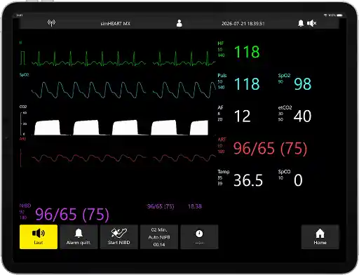 Monitor Bedside